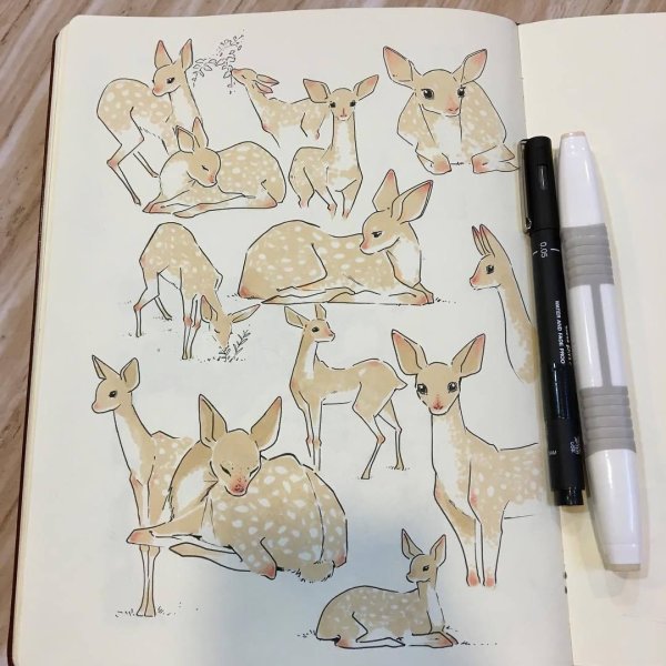 Зарисовки животных в скетчбуке