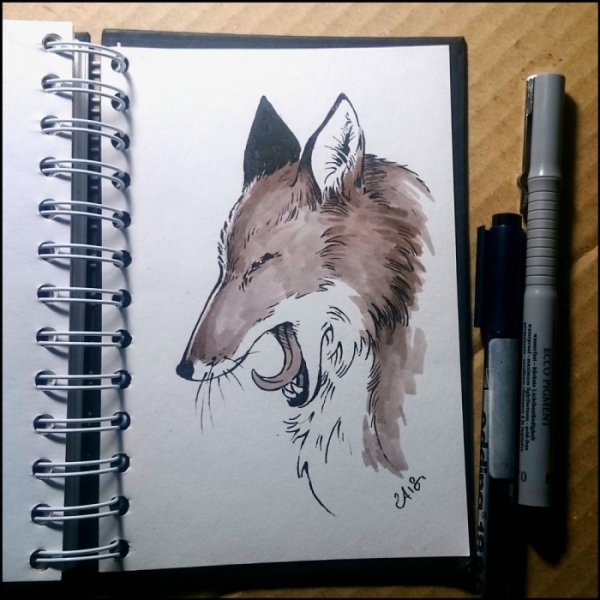 Красивые животные для скетчбука