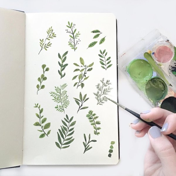 Скетчбук цветочки