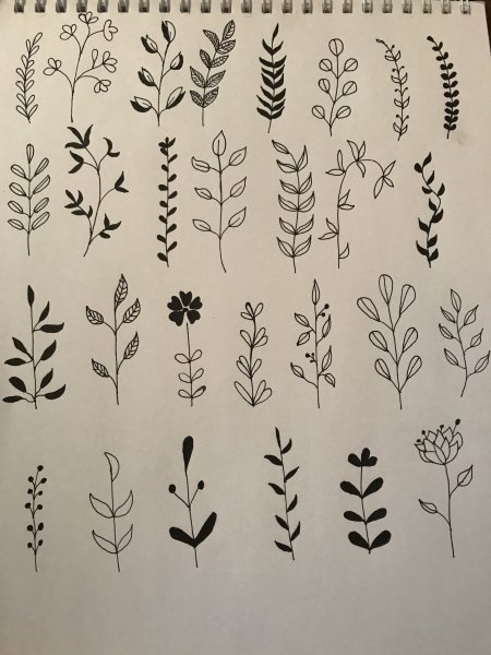 Скетчбук для рисования цветы