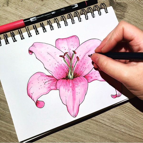 Цветы для скетчбука легкие