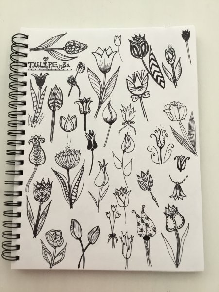 Цветы скетч