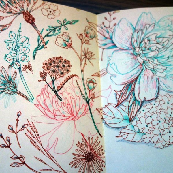 Скетчбук для рисования цветы