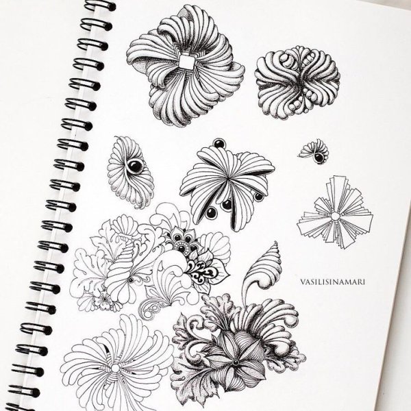 Скетчбук цветы карандашом