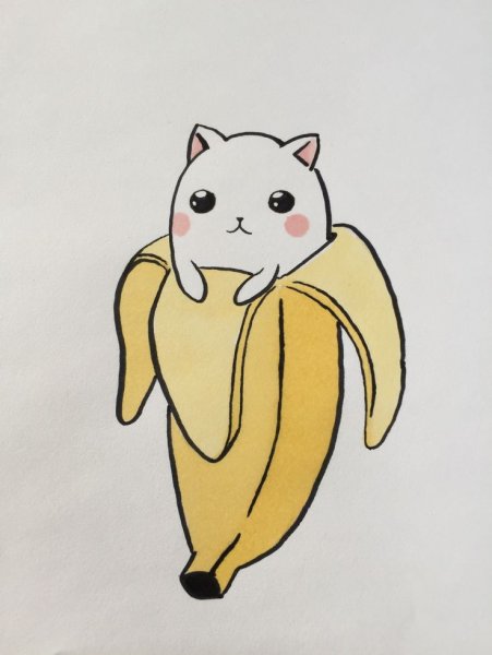 Милые рисунки для срисовки легкие