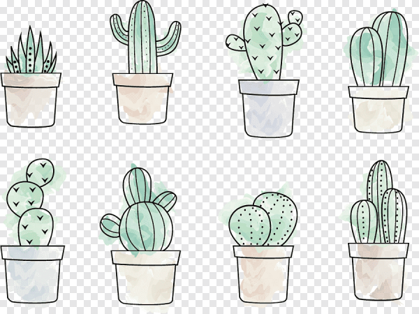 Кактус для срисовки