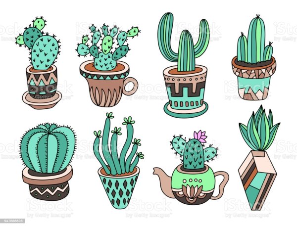 Кактусы для скетчбука