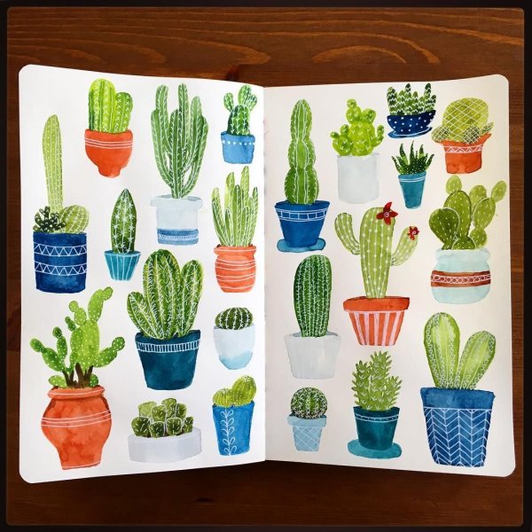 Скетчбук. Кактусы