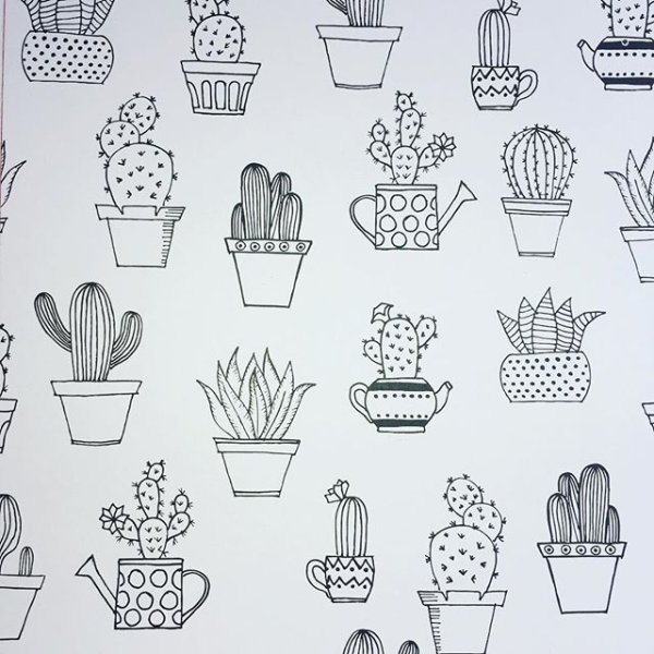 Скетчбук. Кактусы