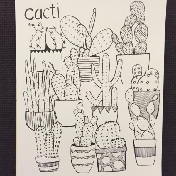 Кактусы для скетчбука
