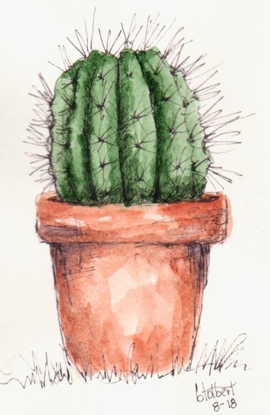 Акварельные кактусы