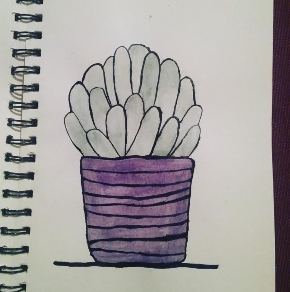Кактусы арты скетчбук