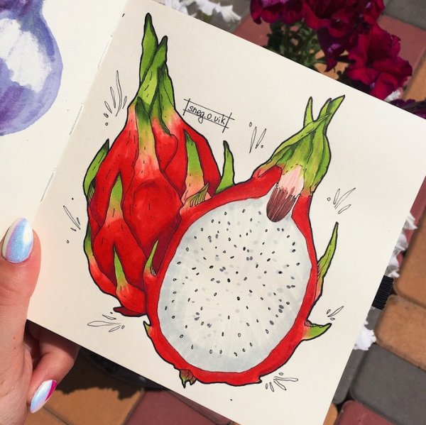 Рисунки для скетчбука фрукты