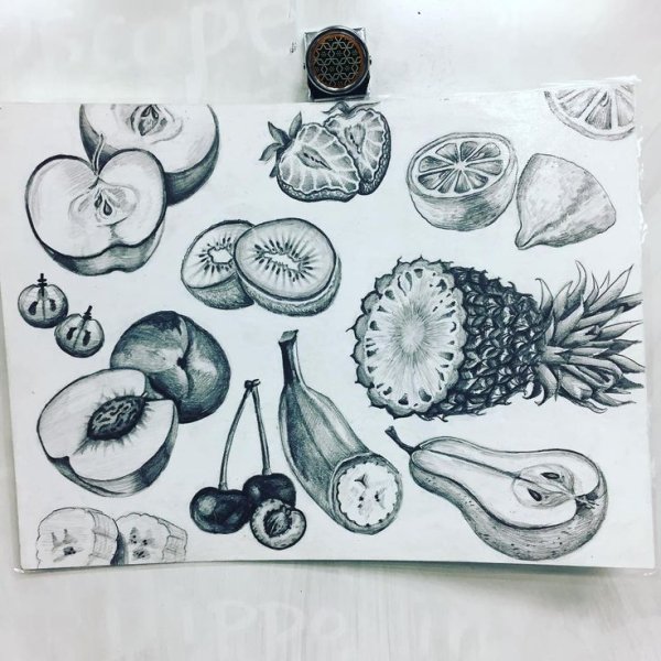 Скетчбук для рисования с фруктами
