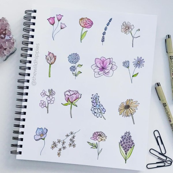 Рисунки для скетчбука лёгкие цветы