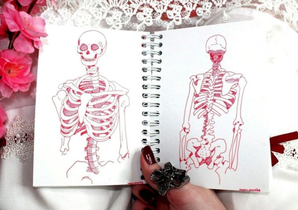 Скелет для скетчбука