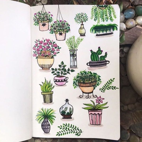 Красивые растения для скетчбука