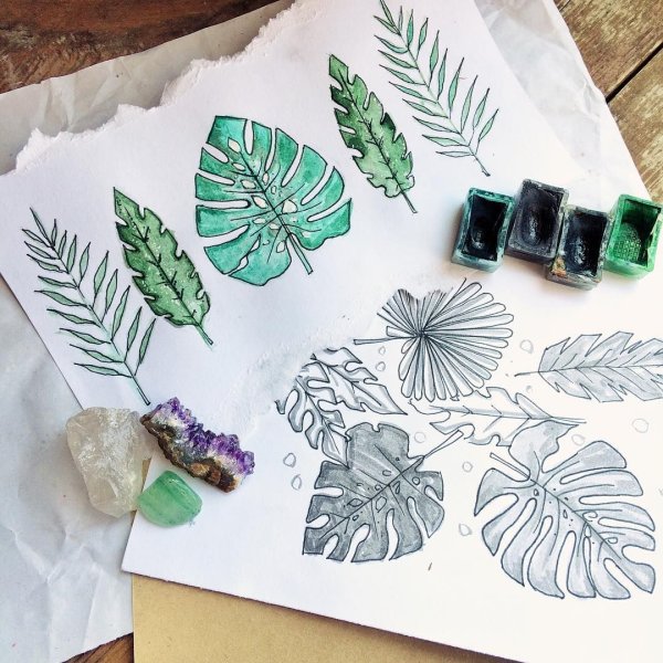 Скетчбук растения