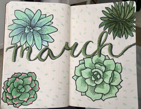 Суккуленты Bullet Journal