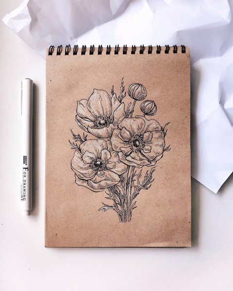 Блокноты для рисования скетчей