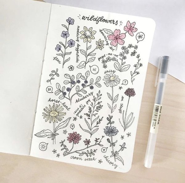 Цветы для скетчбука