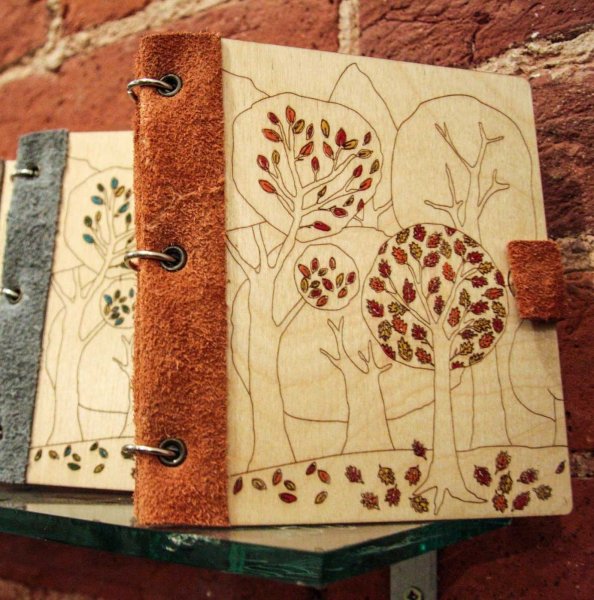 Скетчбук енот