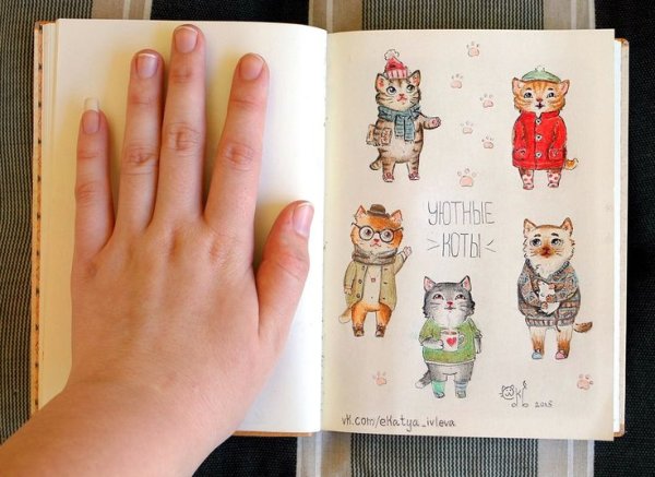 Скетчбук с котом