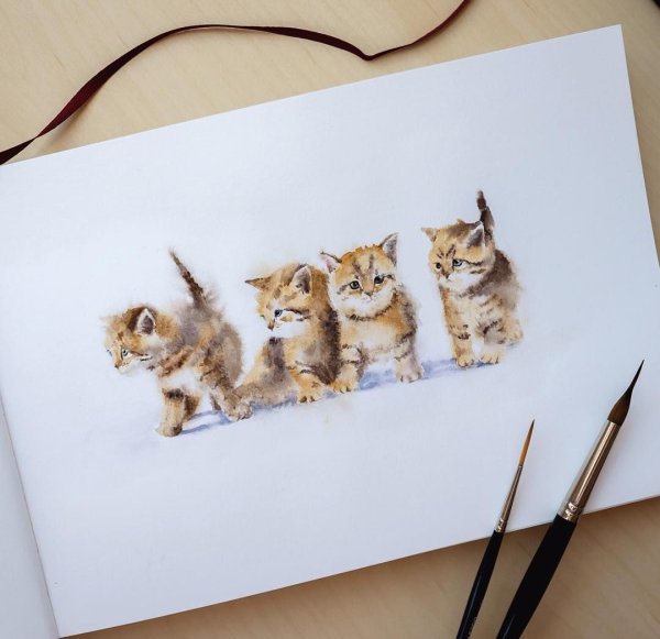 Скетчбук для рисования с котом