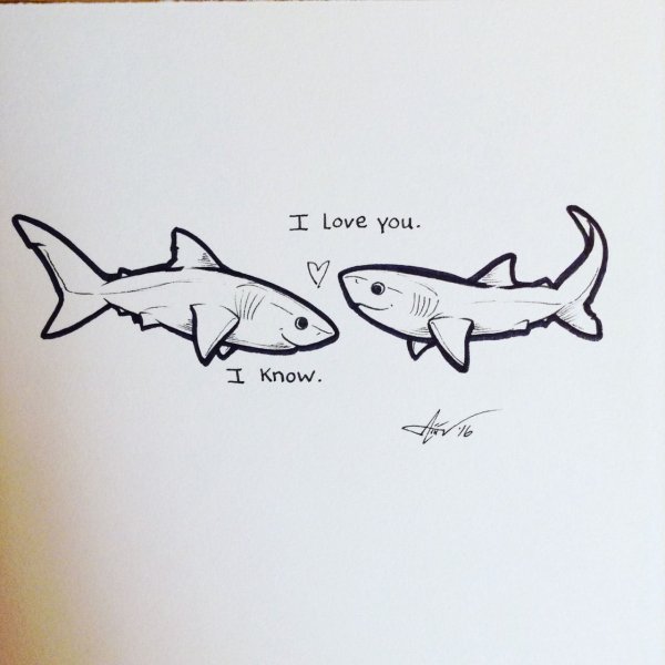 Милое тату акула