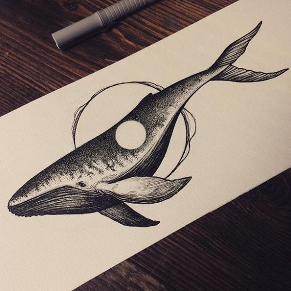 Эскизы китов