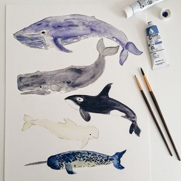 Рисунки акварелью в стиле тумблер киты