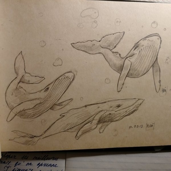 Рыба в скетчбуке