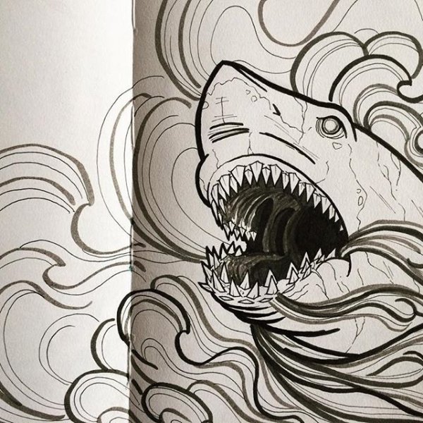 Скетчбук. Акулы