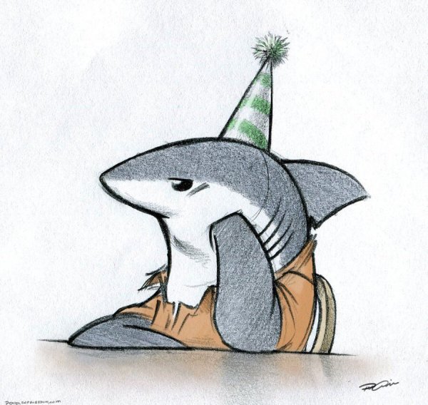 Милые акулы