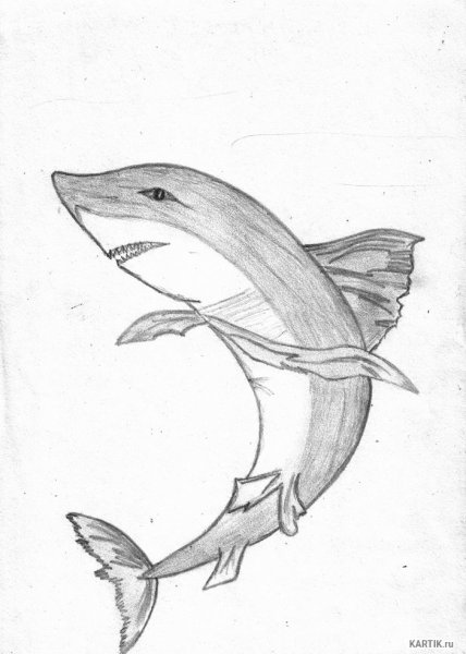 Акула карандашом