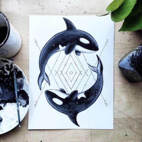 Касатка эскиз