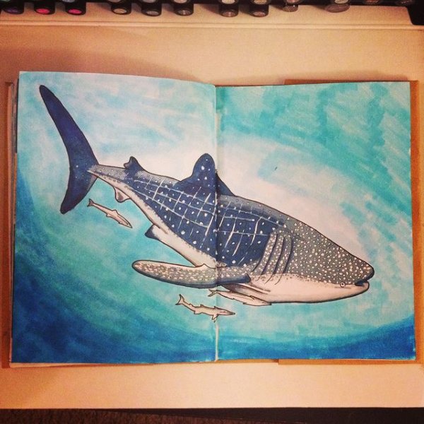 Акула для скетчбука