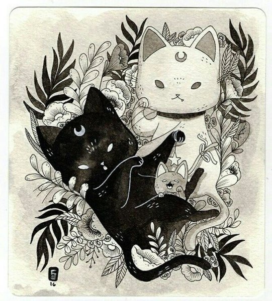 Скетчбук кошки