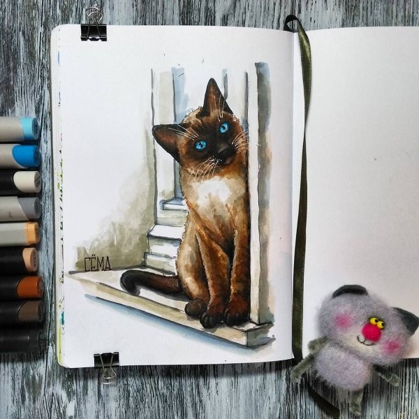 Кошка в скетчбуке