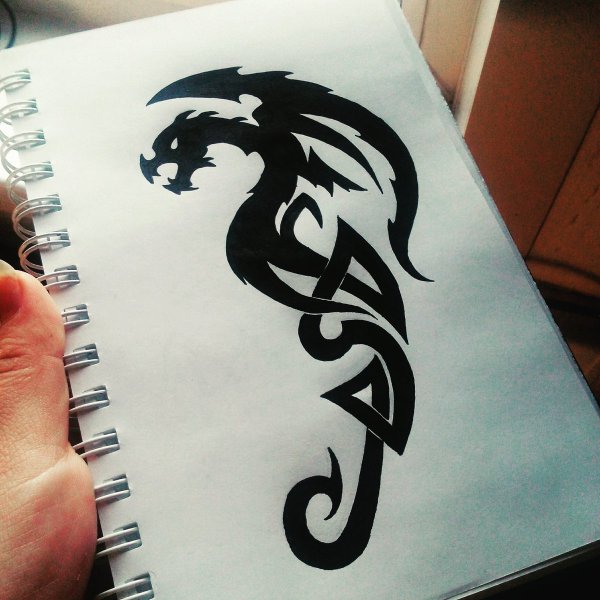 Рисунки драконов карандашом