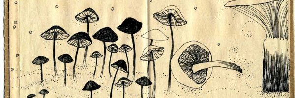 Скетчбук грибы