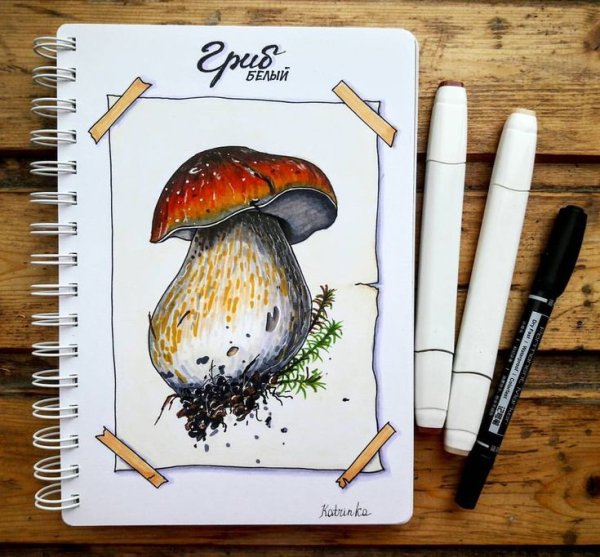 Грибы маркерами