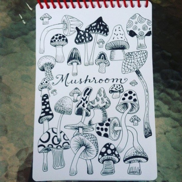 Рисунки грибов в скетчбук