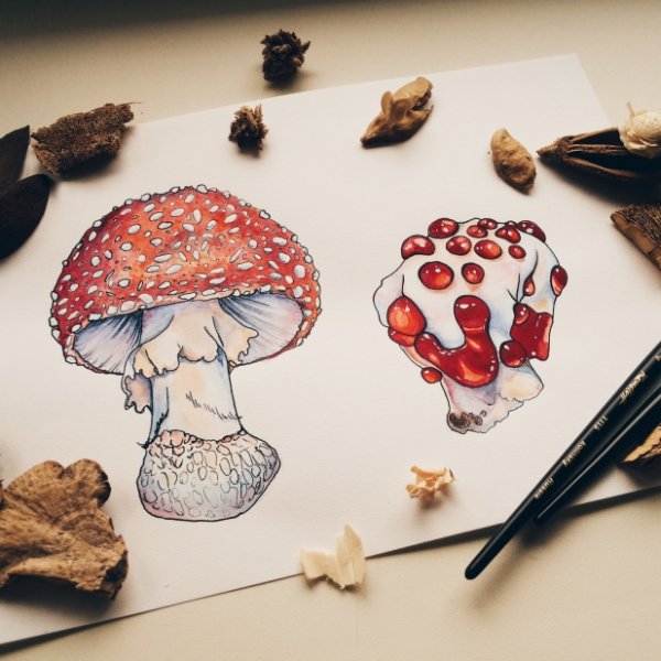 Грибы из пинтереста инди КИД