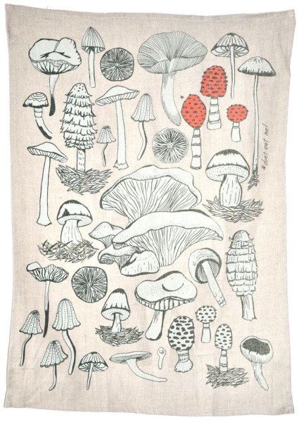 Зарисовки грибов для скетчбука