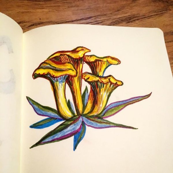 Рисунки маркерами грибы