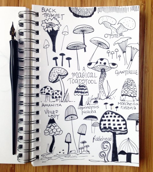 Скетчбук грибы