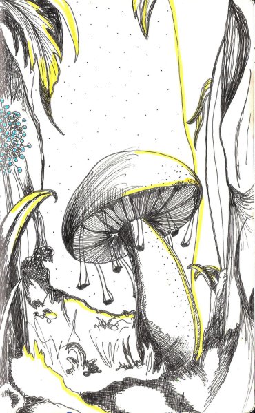 Грибы в скетчбуке акварелью