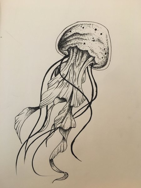 Медуза эскиз