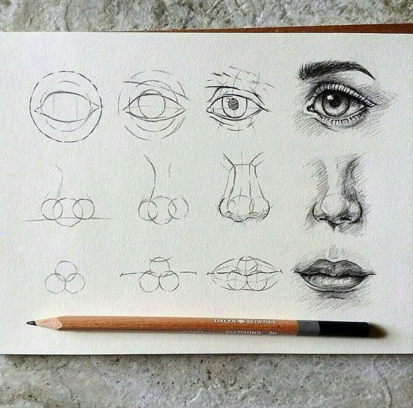 Поэтапное рисование частей лица